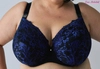 Bra semi-soft black with navy blue FB-PL Klara