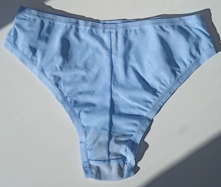 Brazilian Briefs Prototype No. 57